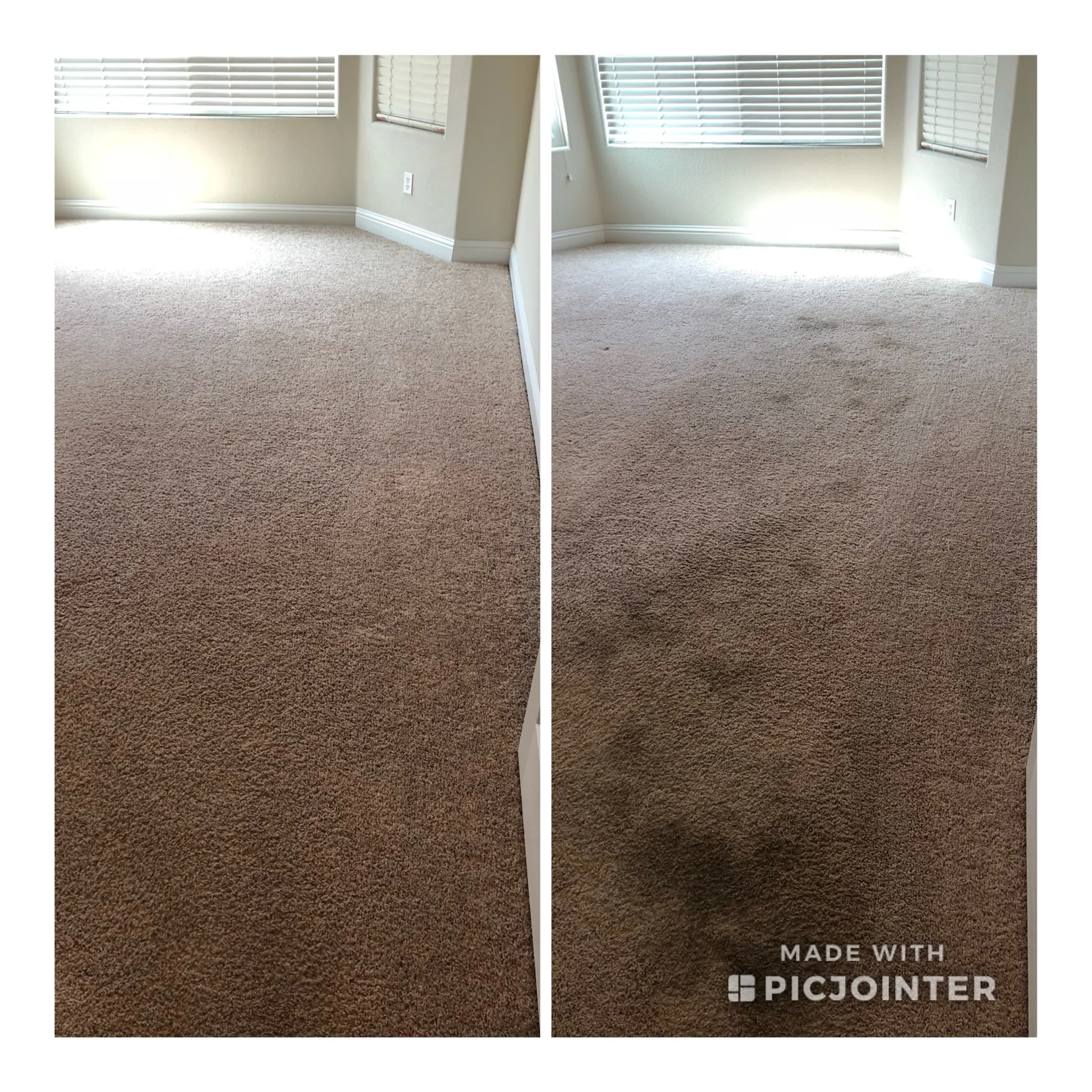 Two-panel carpet comparison collage from the Grasso job library